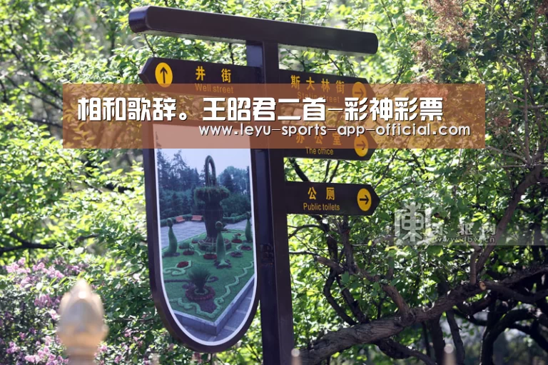 彩神彩票官网