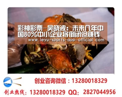 彩神彩票-吴晓波:未来几年中国80%中小企业将倒闭但赚钱依旧容易!(图4) 彩神彩票官网