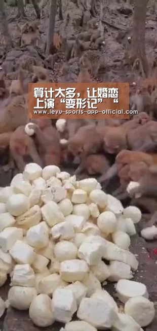 算计太多,让婚恋上演“变形记”“彩神彩票”(图1) 彩神彩票官网