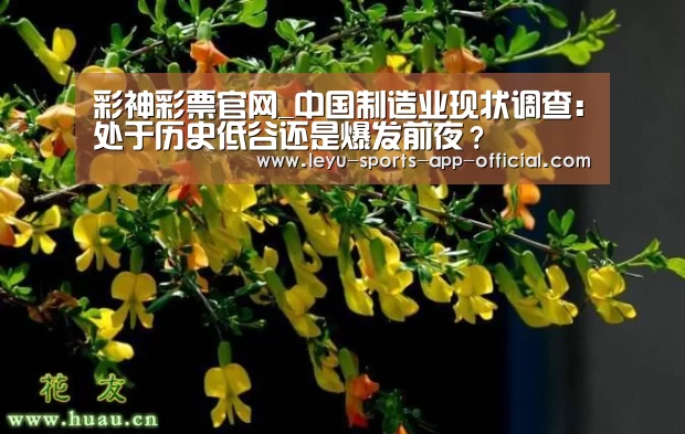 彩神彩票官网_中国制造业现状调查:处于历史低谷还是爆发前夜?(图2) 彩神彩票