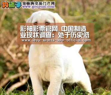 彩神彩票官网_中国制造业现状调查:处于历史低谷还是爆发前夜?(图1) 彩神彩票